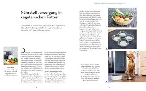 Veggie Feeding: Hunde vegetarisch ernähren. Gesunde Abwechslung im Futternapf