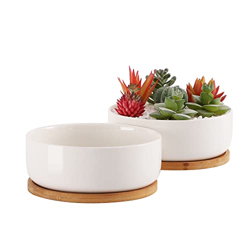Fengson 6 Inch White Ceramic Flower Planter Pot With Bamboo Tray,Succulent Cactus Pots With Drainage,Round Shallow Planter Bowl For Plants,Pack Of 2 #TOP14