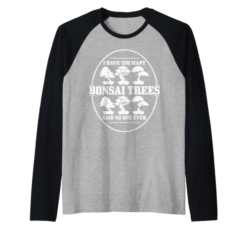 Bonsai Manche Raglan