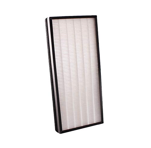 LifeSupplyUSA Replacement True HEPA Filter Compatible with Rowenta XD6070 XD6075 fits PU4010