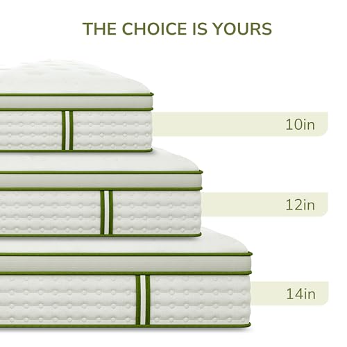 Emerspring Queen Hybrid thumbnail 8