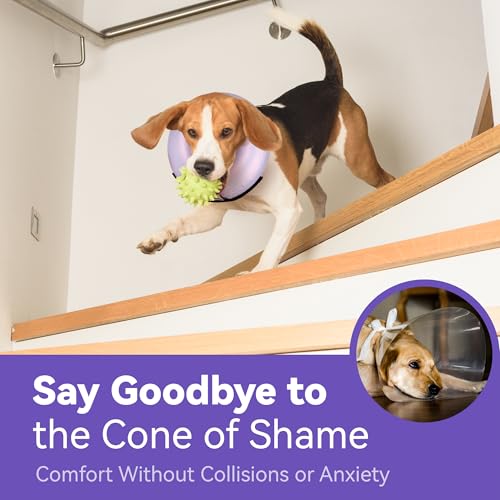 Image of Inflatable Dog Cone Collar - Donut Collar Recovery ECollar Alternative After Surgery - Soft Dog Cone for Small Medium Large Dogs