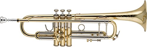 Bach 19037 Stradivarius