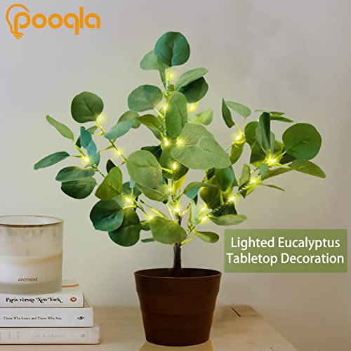 Pooqla Lighted Eucalyptus Tree Spring Decoration, Led Artificial Eucalyptus Branches In Pot With Lights For Mother's Day Birthday Indoor Bedroom Party Home Decor #TOP1