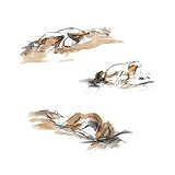 1. Emancipación (Origen)