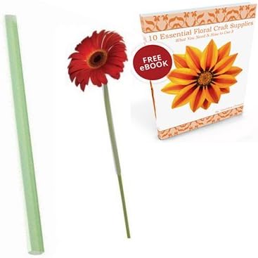 Gerbera Daisy Floral Arranging Straws Tubes 3/8” x 8” Plus Flower Crafting Tools eBook Bundle