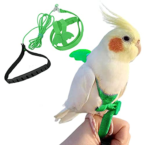 FORZENA Birds Adjustable Harness and Leash, Parrot Outdoor Flying Training Traction Rope Straps with Cute Wing for Small Animal Birds, Parrots, Pigeons, Lizard, Turtles (S,Green)