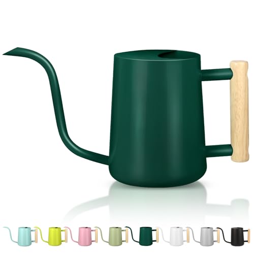 Image of Watering Can Indoor Plants, 35oz Small Indoor Stainless Steel Metal Watering Can Modern Decorative Watering Pot with Long Spout for Indoor House Plant Bonsai Garden Flowers (Alpinegreen)