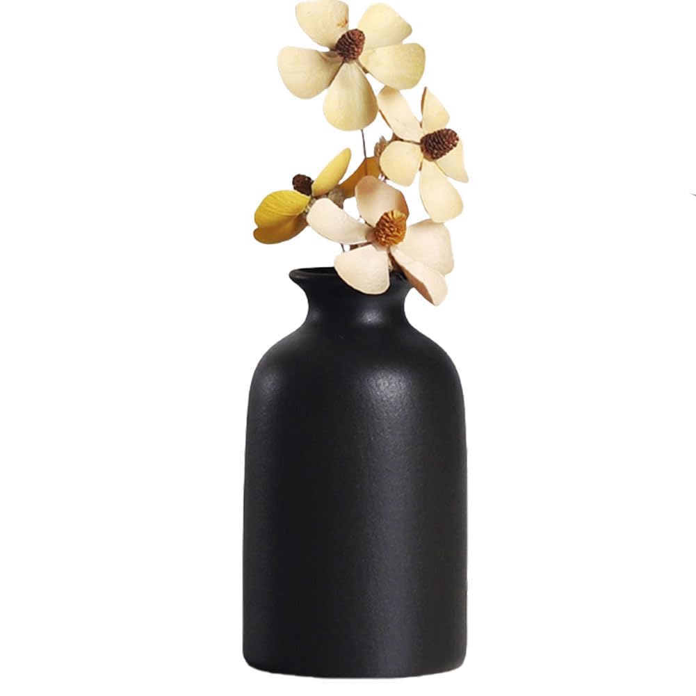 Jarrón pequeño de cerámica redondo seco floral bohemio, estilo minimalista, decoración del hogar para flores secas y plantas (negro)