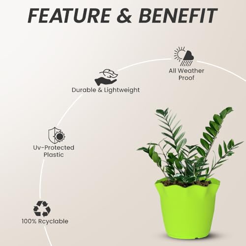 Image of YUCCABE ITALIA SHERA 4 Inch Plastic Flower Pot 12 Piece Set of Unbreakable Round Shape Planter for Home Garden Seedling, Indoor and Outdoor (Green)