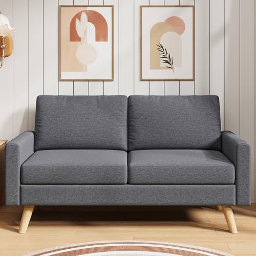 Blishom Divano moderno a 2 posti, Divanetto,Divano con braccioli con 2 cuscini per soggiorno,camera da letto,ufficio,facile da montare,146 x 71 x 86 cm,Grigio scuro