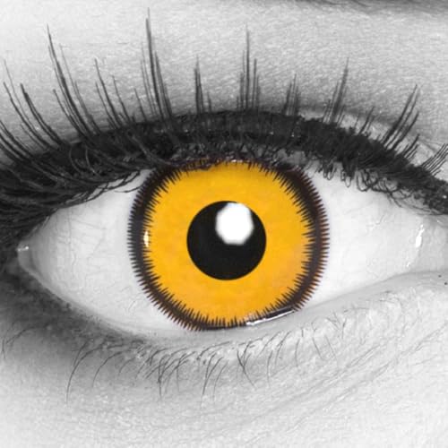 Farbige gelb Lunatic Sun Kontaktlinsen von Evil Lens zu Fasching Karneval Halloween 1 Paar gelbe Crazy Fun Kontaktlinsen mit Behälter ohne Stärke