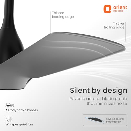 Image of Orient Electric Aerosilent | India's Most Silent Fan | Less than 50dB| 1200mm BLDC Ceiling Fan with Remote | BEE 5-Star Energy-Efficient Fan | Red Dot Design Winner| 5-Year Warranty | Cloud Grey