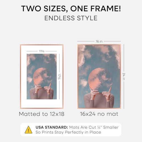 Image of Homeforia 16x24 Picture Frame Rose Gold, High End Metal 16x24 Poster Frames with Mat 12x18 inch Photo, 16 x 24 Rose Gold Frame Matted to 12 by 18 Print, 24x16 Frame, Tempered Glass, Wall Kit, Set of 1