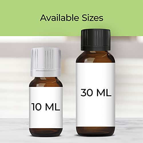 Image of Good Essential Professional Vanilla Fragrance Oil 10 ml (0.33 fl oz) for Candles, Soaps, Perfume, Home Fragrance, Vanilla Diffuser Oil, and Body Lotion