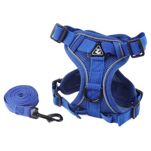 Fiozwea [VA`FXgXgbvAxXgX^C̔˒ʋCybgEH[LO[vAƔL̋tBIYEBA (u[,S)