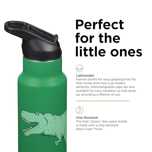 Gourde enfant sans BPA Klean Kanteen 355ml verte Dino Skate - 5