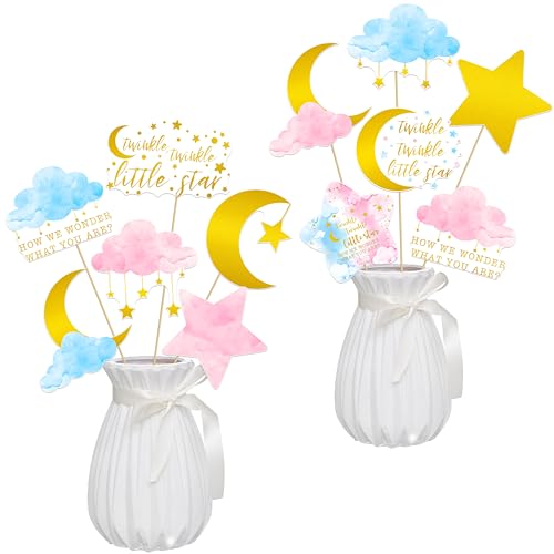 Twinkle Twinkle Little Star Centerpiece Sticks 12PCS Twinkle Twinkle Little Star Gender Reveal Decorations Moon and Star Baby Shower Table Toppers for Boy or Girl Pink Blue Cloud Theme Supplies
