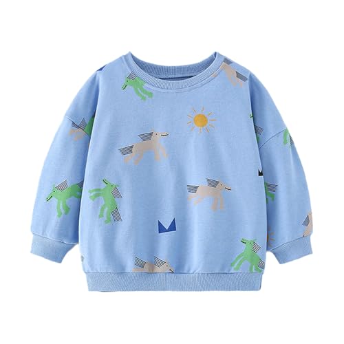 Sweatshirt for Girls Children Long Sleeve Pullover Top Long Sleeve Cotton Lightweight Casual Crew Neck Tops Age 2-7 Years, a, 110 Sweatshirt for Girls Children Long Sleeve Pullover Top Long Sleeve Cotton Lightweight Casual Crew Neck Tops Age 2-7 Years, a, 110