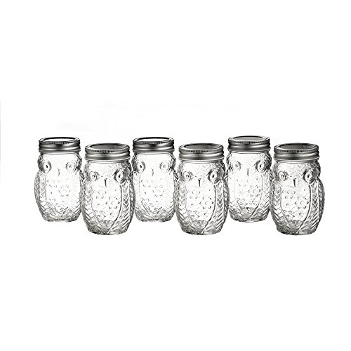 Sytle Setter Owl 6 Piece Glass Jar Set- Glass Canister with Airtight Metal Lids, Clear