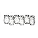 Style Setter 206242-6GBS Owl Glass Jars with Lids (Set of 6), Clear