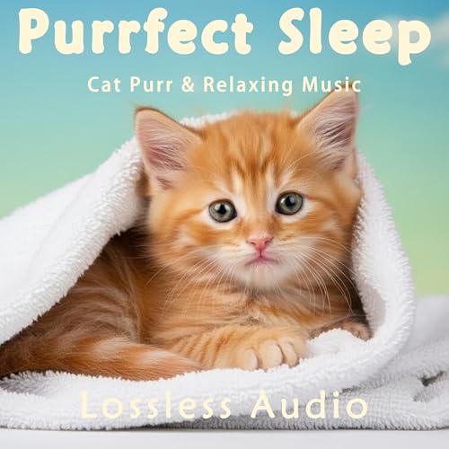 8 小时 - 环绕海浪冥想｜中国风-子夜吴歌｜猫咪呼噜声助眠｜深度放松｜完美睡眠