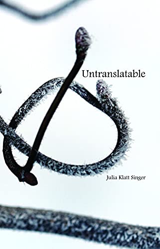 Untranslatable view 2