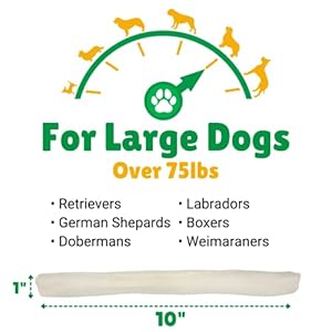 Fortunate Premium Treats Plain Retriever Rawhide Sticks  Allpure Rawhide Canine Treats for Giant Canine Gluten Free Premium Giant Canine Treats 10 Chews  Cucciolini Doodles Fortunate premium treats plain retriever rawhide sticks  all pure rawhide canine treats for giant canine gluten free premium giant canine treats 10 chews   cucciolini doodles