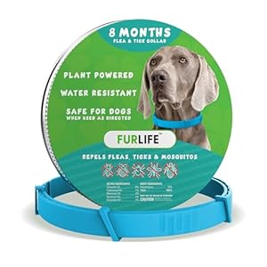 FurLife Flea and Tick Collar for Dogs – Waterproof Blue Dog Collar, Pet Supplies for Tick and Flea Prevention for Dogs, Safe for All Breeds