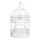 Cage à oiseaux décorative en fil de fer – idéale pour le salon, les fêtes, les banquets, les mariages, les restaurants, etc. une décoration pour vous. cage à oiseaux décorative à suspendre