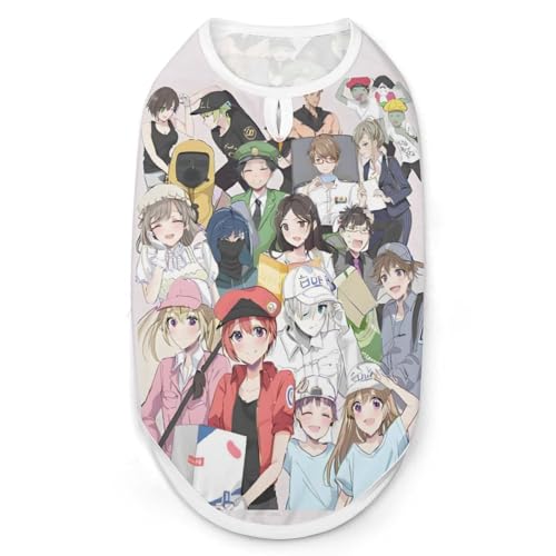 ͂炭זE 214 ybg Lm ̕ L TVc   Ă~ ʋC  ƒ U o t  H L