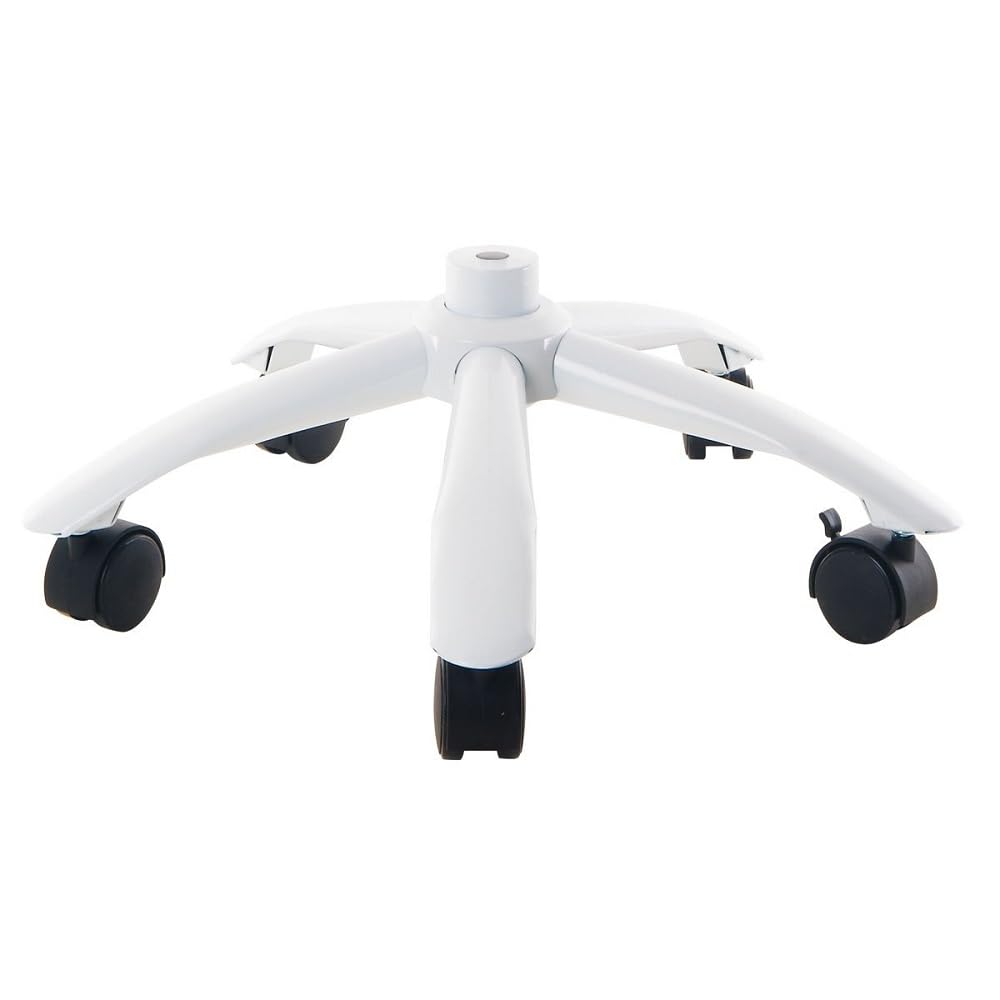 3B Scientific Base in metallo 3B Scientific con 5 rotelle [XA031], Compatibile con tutti gli Scheletri 3B e le Figure con muscoli 3B, Piede in metallo per cavalletto per scheletro
