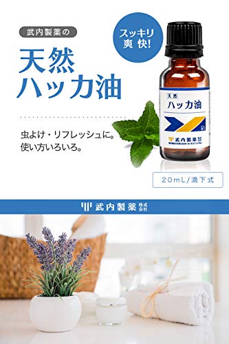 ハッカ油万能説 赤ちゃんにも使える 簡単活用方法