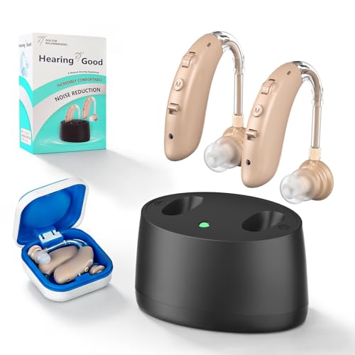 3FP Z-162 Hearing Amplifier