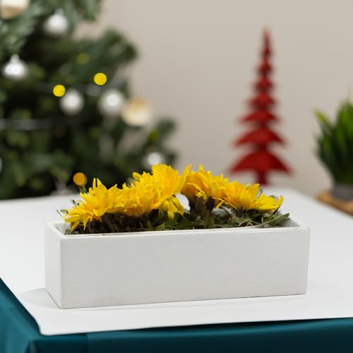 Wgvi CBR1444WT Long Rectangle Ceramic Planter Vase In White 14 Inch X 4 Inch X 4"H thumb #5