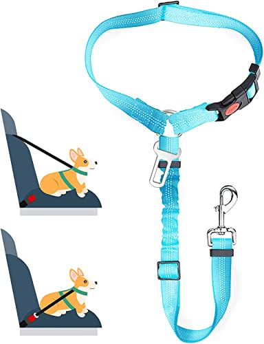 LUAMY ybgp  V[gxg Ԑp[h [Ki]  яoh~wbhXg Lk ߉ (Cgu[)