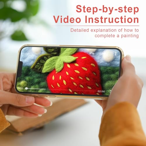 Image of Hlison Strawberries Needle Felting Kit with Vedio Tutorial, Beginner Felting Needle Includes Wool Bag, Felting Needles, Foam Pad, Felt Cloth, Instructions