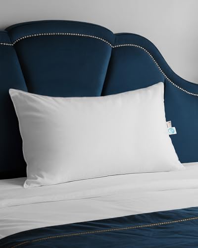 finbuco Goose Down Pillow for Sleeping, Hotel Quality 750 Fill Power Queen Size Pillow with Pillowcase - Bed Pillow for Master Bedroom, Support for Back, Side, Stomach Sleepers, 1 Pack, 20x30 Inch