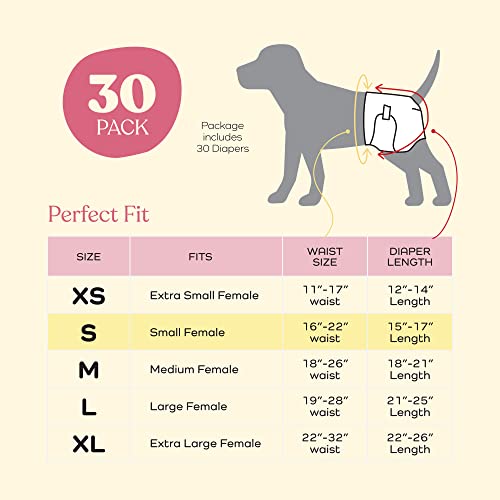 Pitpet PP-FD101/24 Comfortable Female Dog Diapers - 30-Pack Super Absorbent Disposable Doggie Diapers thumb #5