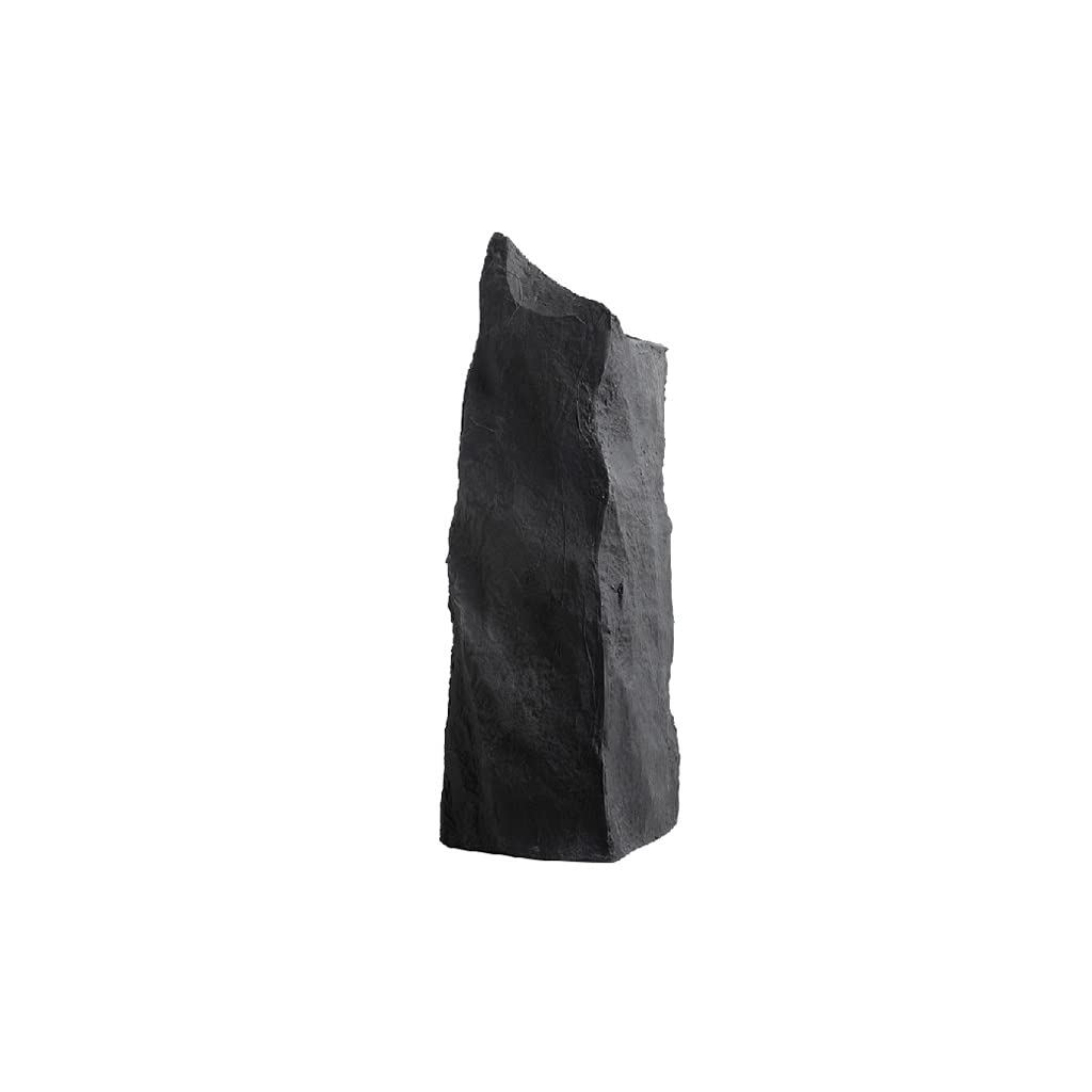 Vase en fleurs noir mat pour sublimer une table basse de salon de modèle