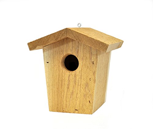 Backyard Boys Woodworking BBW21 Hanging Bird House