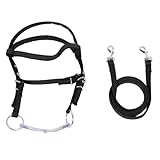 Rindad de Ruta de Brida de Caballo, Nylon Ajustable de Nylon Cabezal Puente de Brida Puta rindad ecológica con Hebilla de Acero Inoxidable para Montar en Sendero (Negro S)