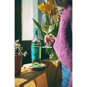 Discover & Savor Novantaceppi Sauvignon Blanc DOC Friuli - Order Your Italian White Wine Duo Today! – Novantaceppi