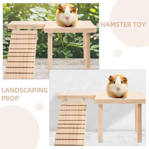 Décoration naturelle kaki pour aménagement de cage hamster - 8