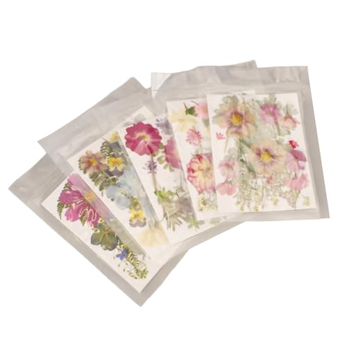 Flores prensadas secas para resina 100 piezas variedad miniatura 4