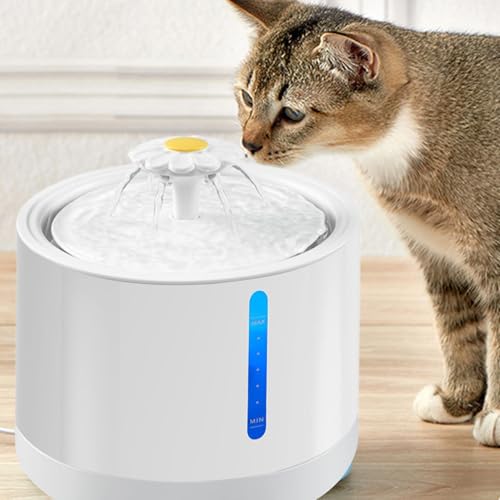 Fuente de agua recargable para gatos y perros miniatura 2