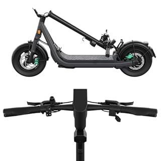 Egret GT Serie E-Scooter mit Straßenzulassung | Bis zu 100 km Reichweite & 20 km/h, 13" Luftreifen, RST Federgabel, OSRAM LED, Hydraulische Bremsen, NFC & Apple Find My, bis 150 kg Traglast (GT 20 Ah)