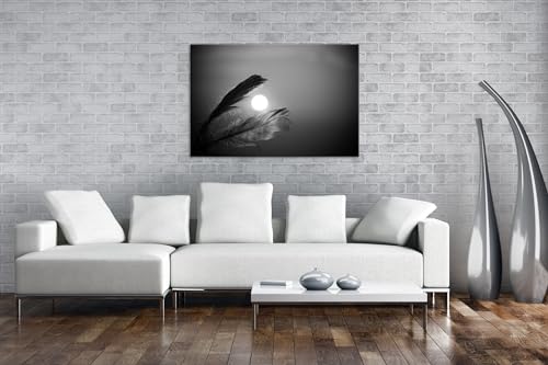 Plumes au coucher du soleil deyoli impression grand format sans reflet