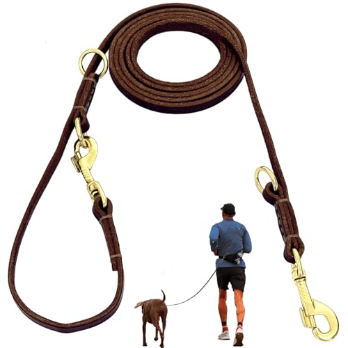 Leather Dog Leash 8ft for Small Medium Dogs, Luxurious Leath