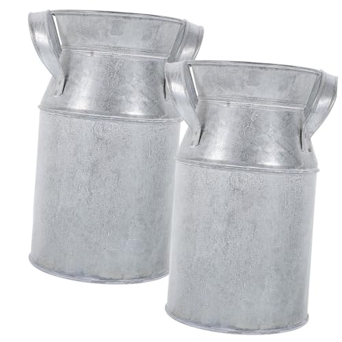 Conteneur d'arrangement floral en fer robuste et durable style vintage